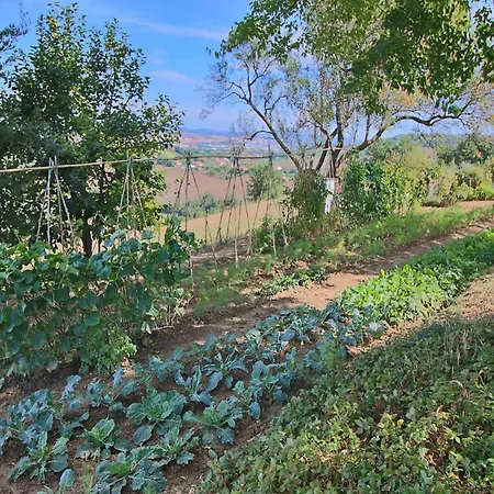 Cottage In Montelabbate With Pool, Garden, Bbq, Parking